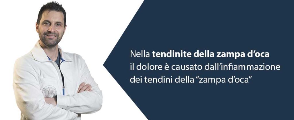Zampa d'oca