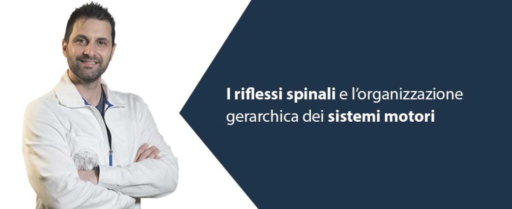 Sistemi motori e riflessi spinali