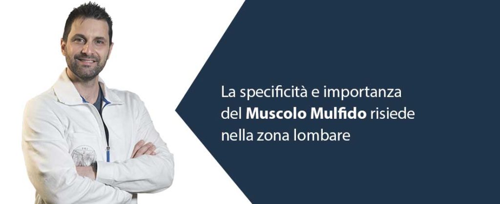 Muscolo Multifido