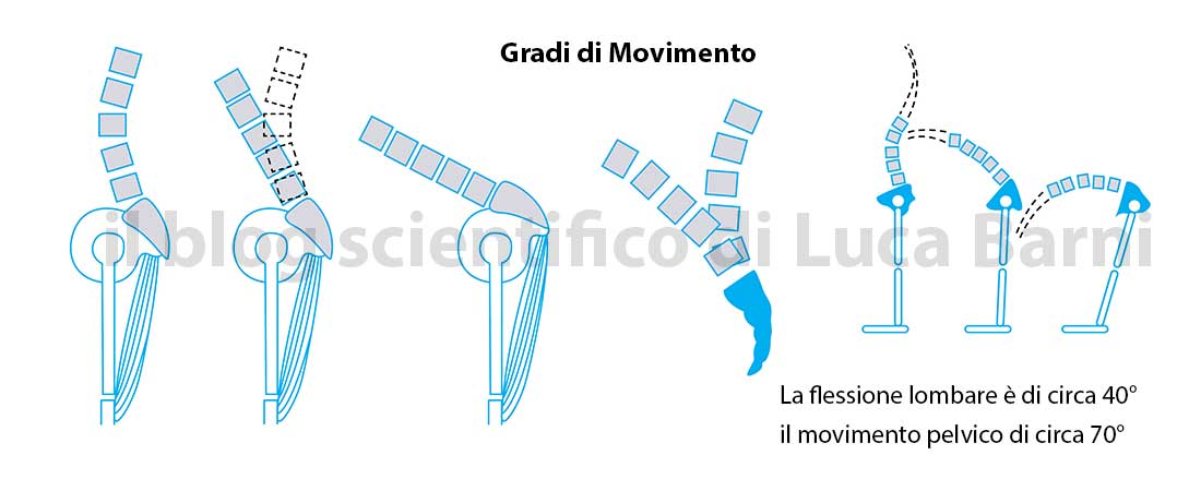 Hamstring e low back pain