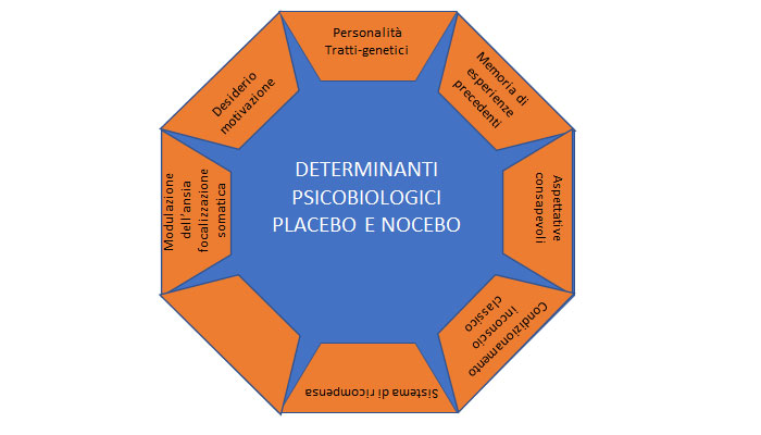 Fisioterapia placebo fattori contestuali
