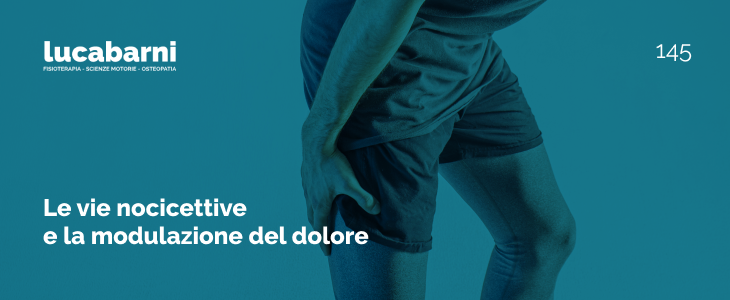copertina novembre 2024